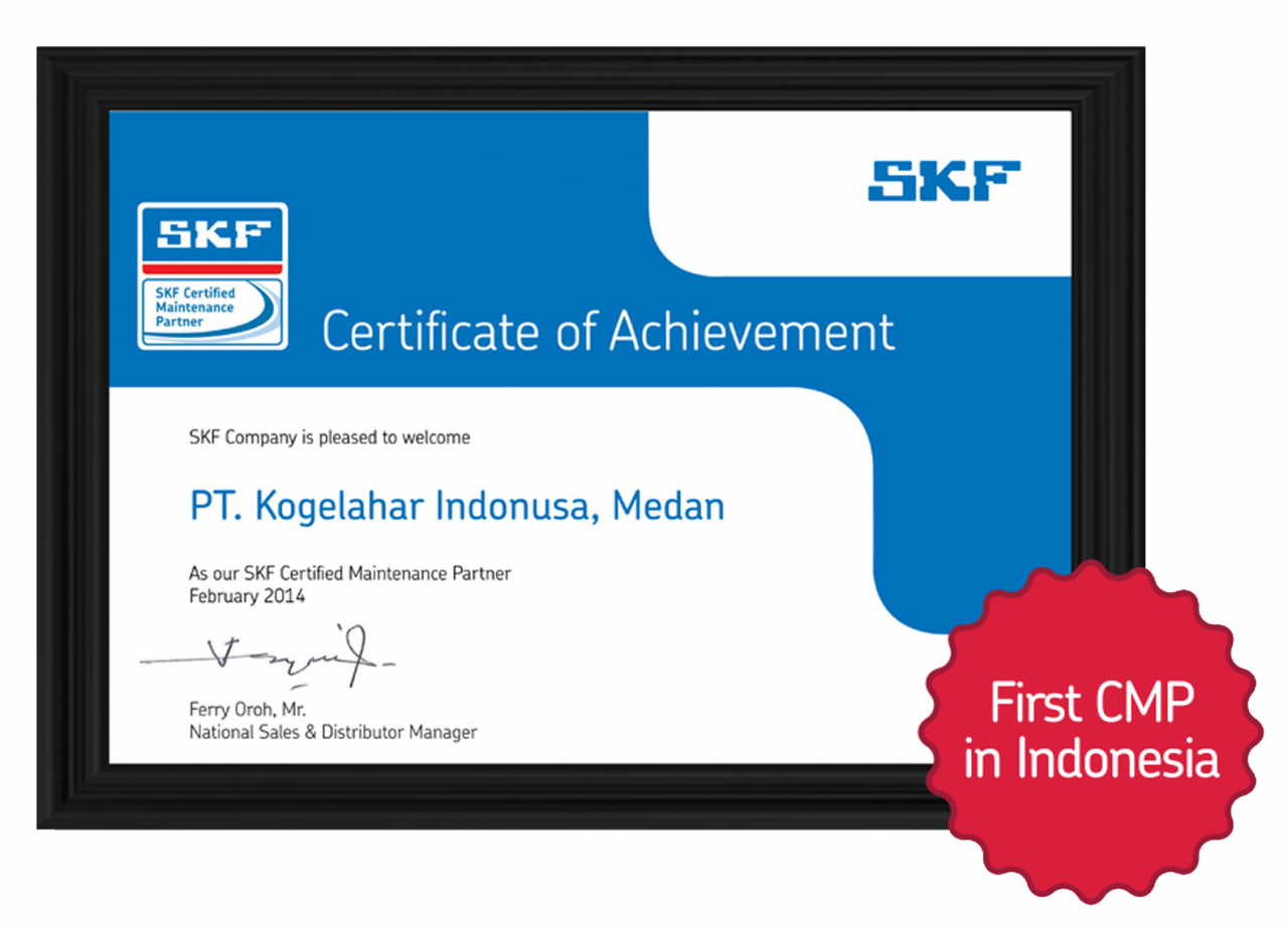 Ca cert. Сертификат SKF. Сертификат соответствия SKF. Сертификат на подшипники SKF. Сертификат соответствия SKF подшипник
