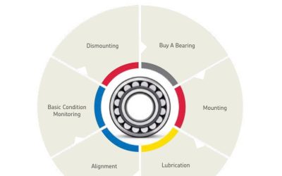 Life Cycle Bearing