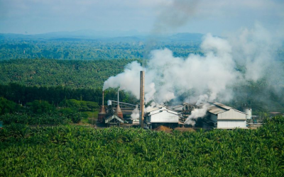 SKF dan Industri Kelapa Sawit