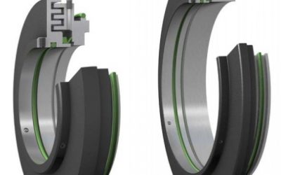 Taconite Seals Training