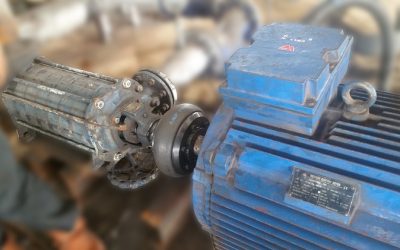 Tahukah anda tentang keunggulan Flex Coupling SKF?